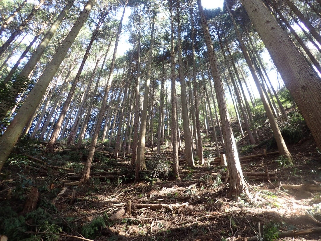 soukawa2