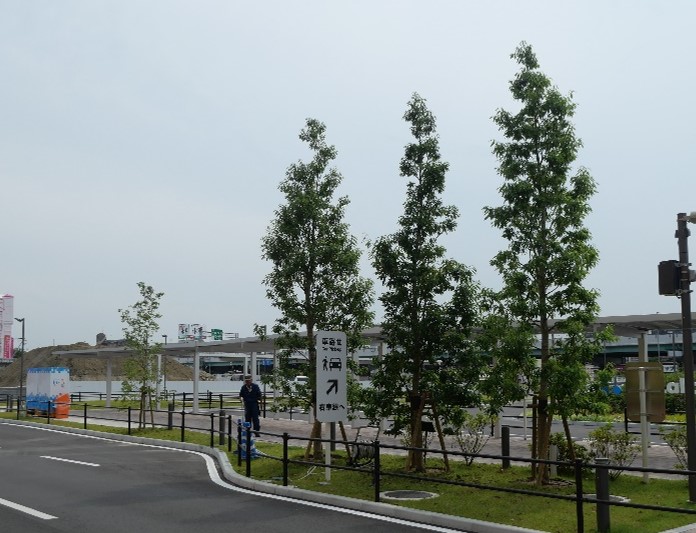 lalaportkadoma