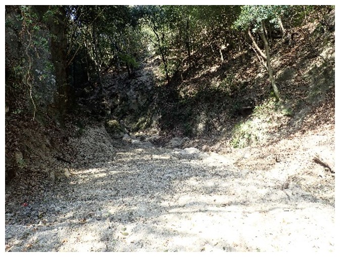 kisaiti2