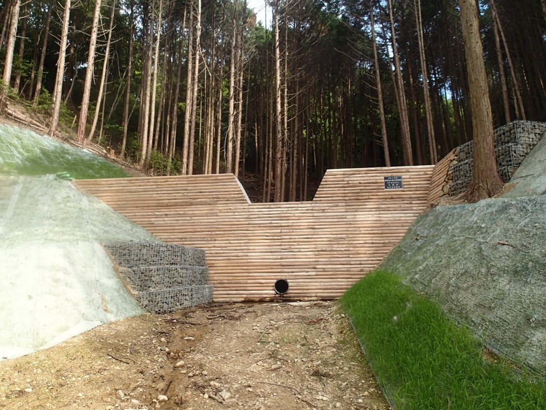 noda2