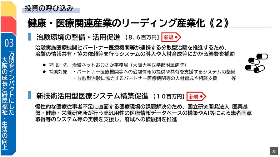 フリップ30