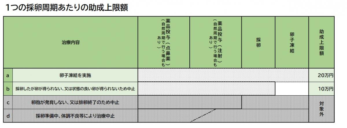卵子凍結助成上限額