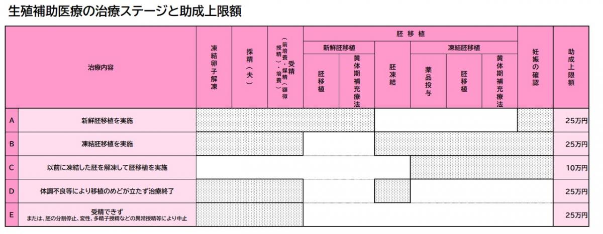 生殖補助医療助成助言