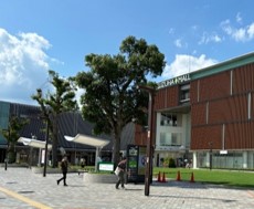kuzuha
