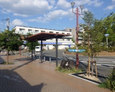 kawatiiwahune