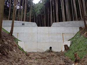 osawa1
