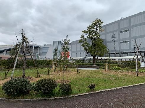 miharakuyakusyo