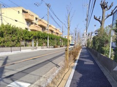 amaminisi