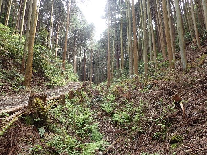 soukawa2
