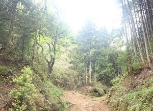 yamada2