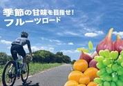 サイクルロード