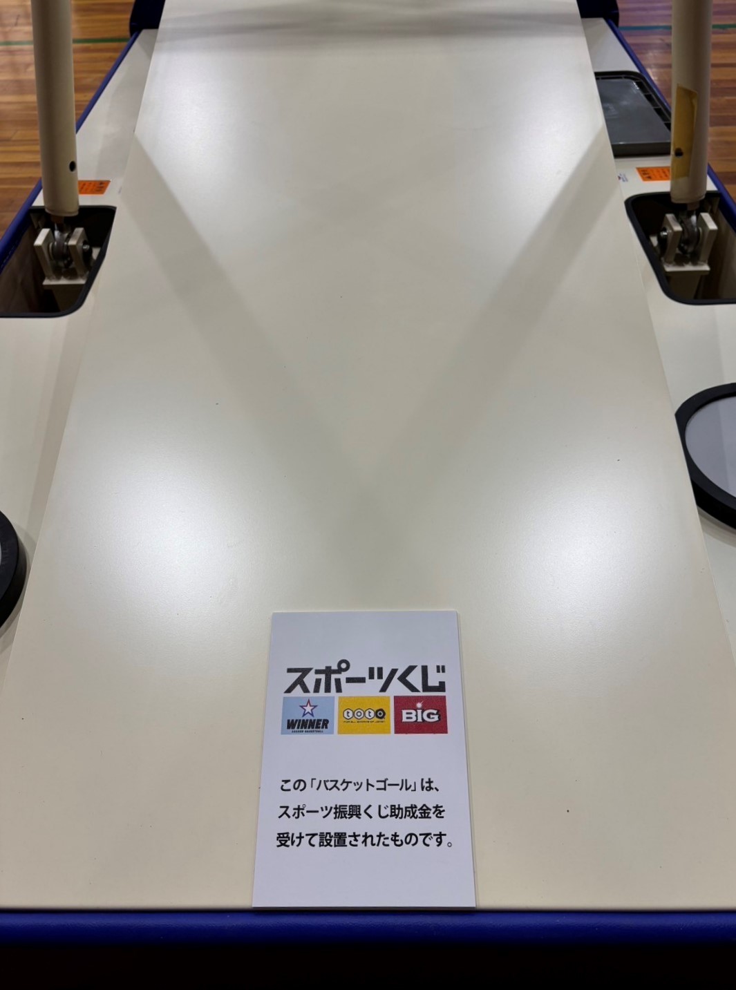 totoシールの写真