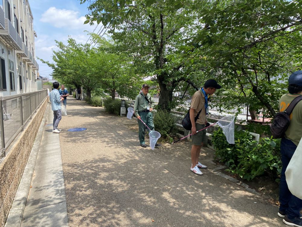 kubiaka3