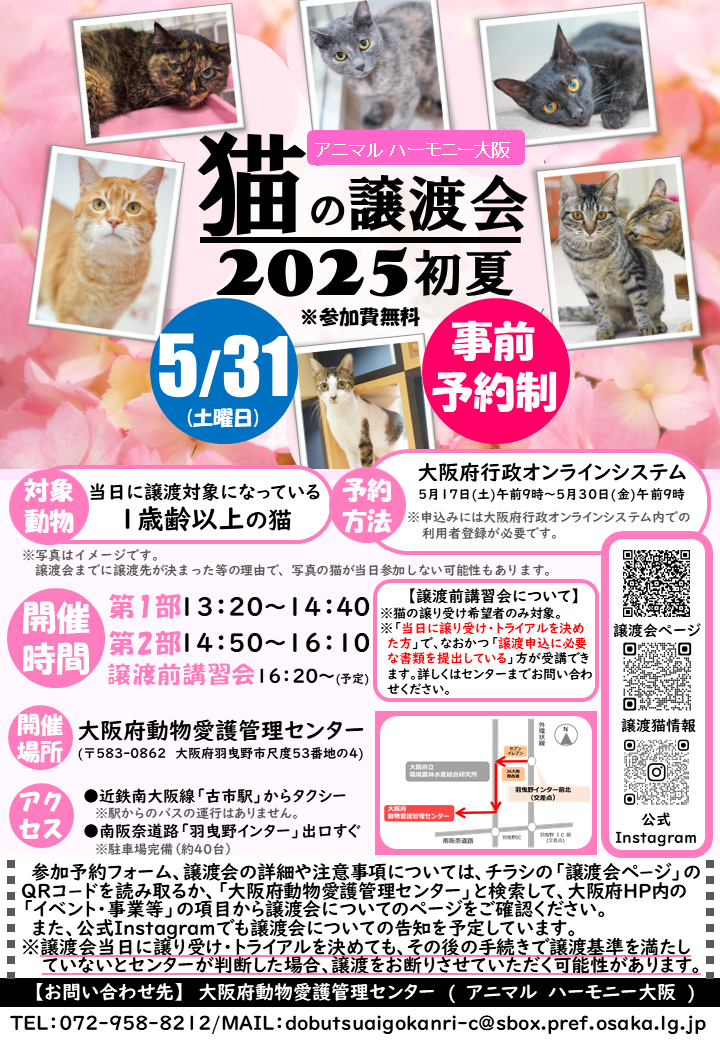 2025譲渡会初夏リーフ