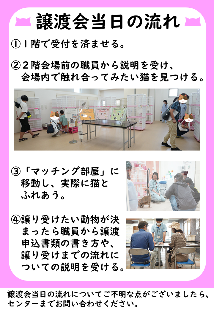 当日の流れ