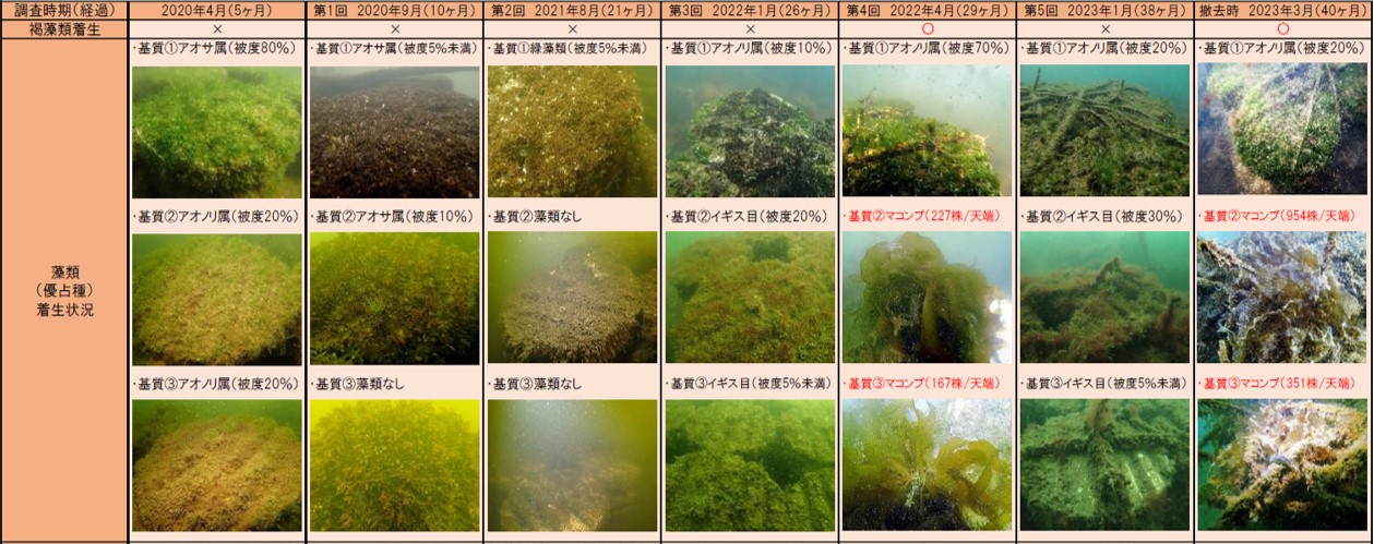 モニタリング調査結果一覧