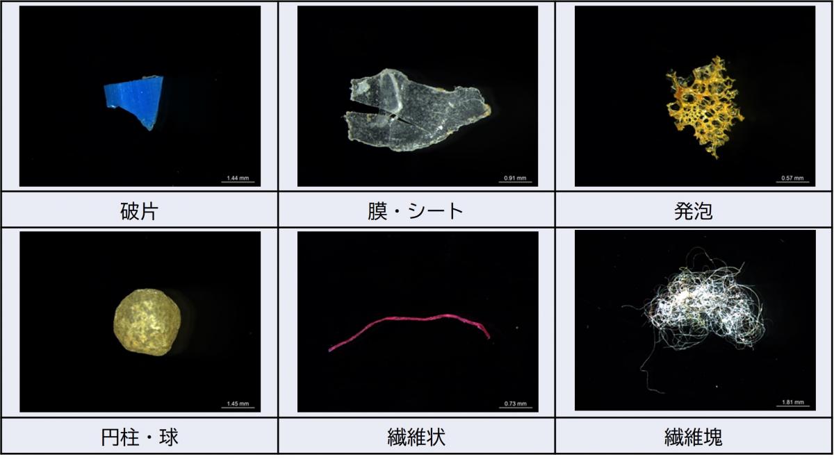 令和6年度マイクロプラスチックの形状分類
