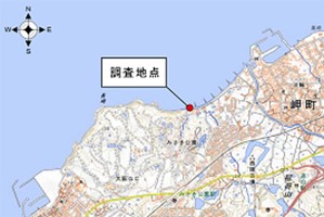 調査地点