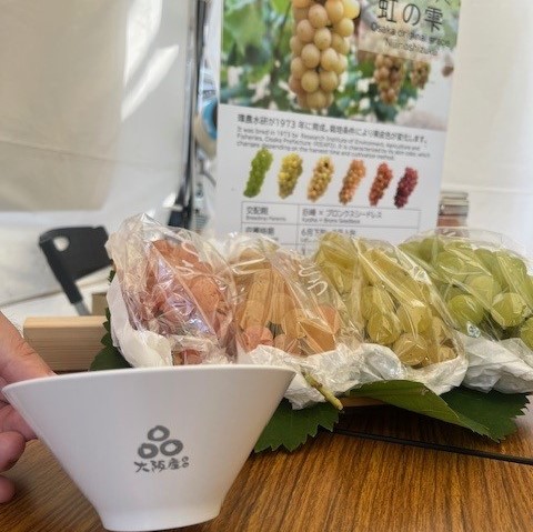 認定製品食器