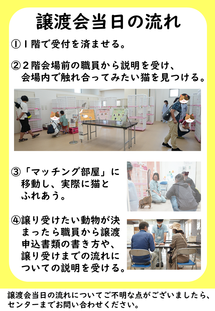 当日の流れ