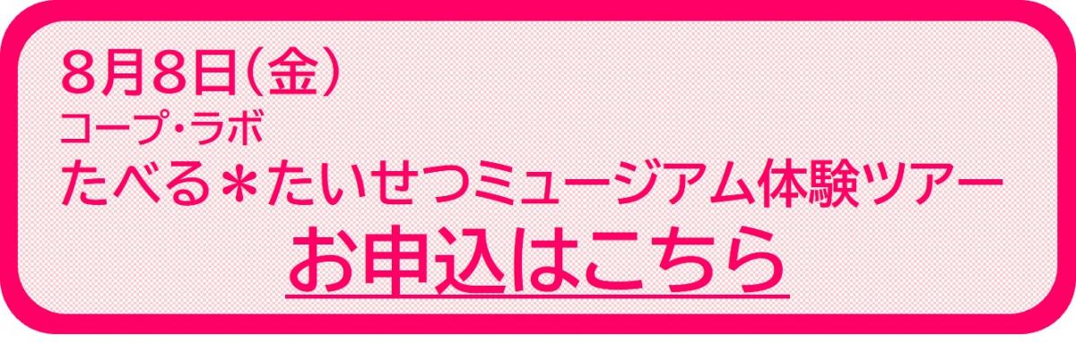 ミュージアム体験ツアー