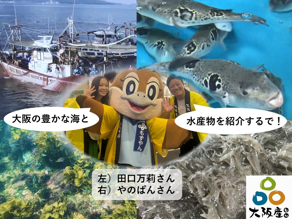 秋ステージ