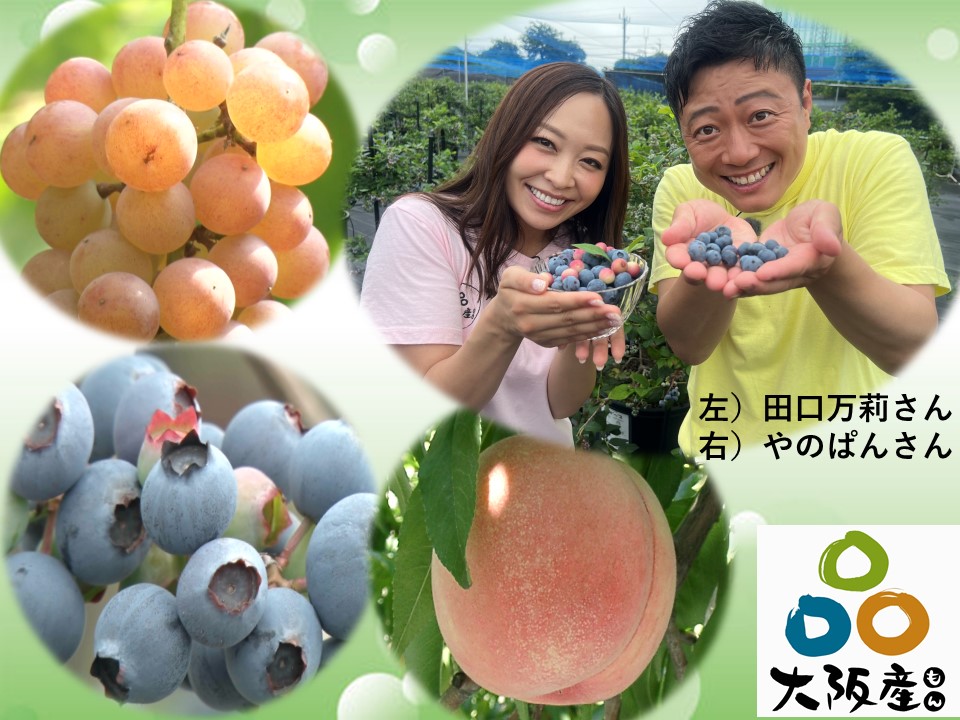 Summer_Stage