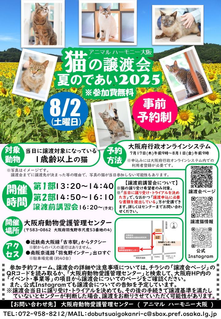 猫の譲渡会　夏のであい2025チラシ