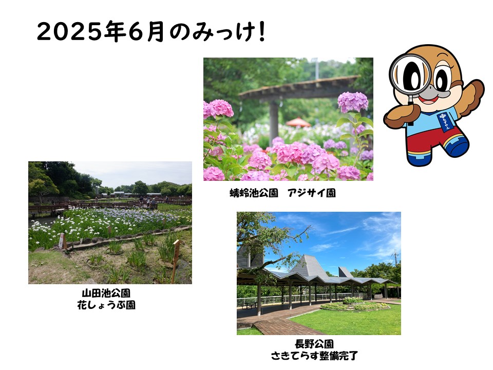 6月
