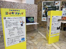 パネル展示の様子