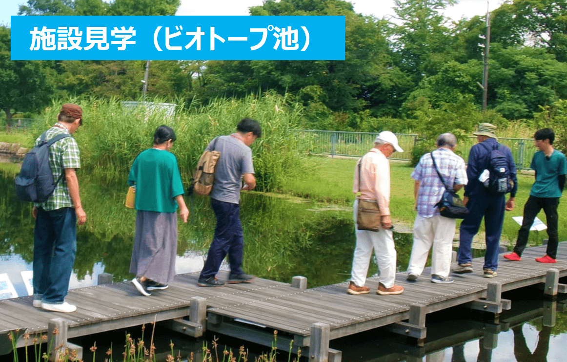 施設見学（ビオトープ池）