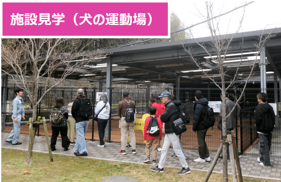 施設見学（犬の運動場）