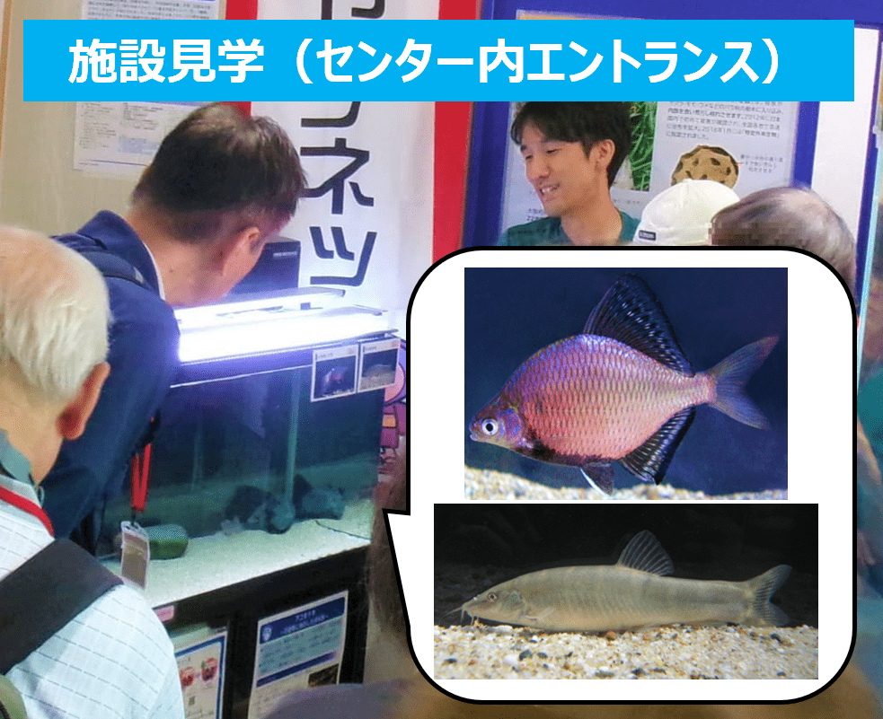 施設見学（センター内エントランス）