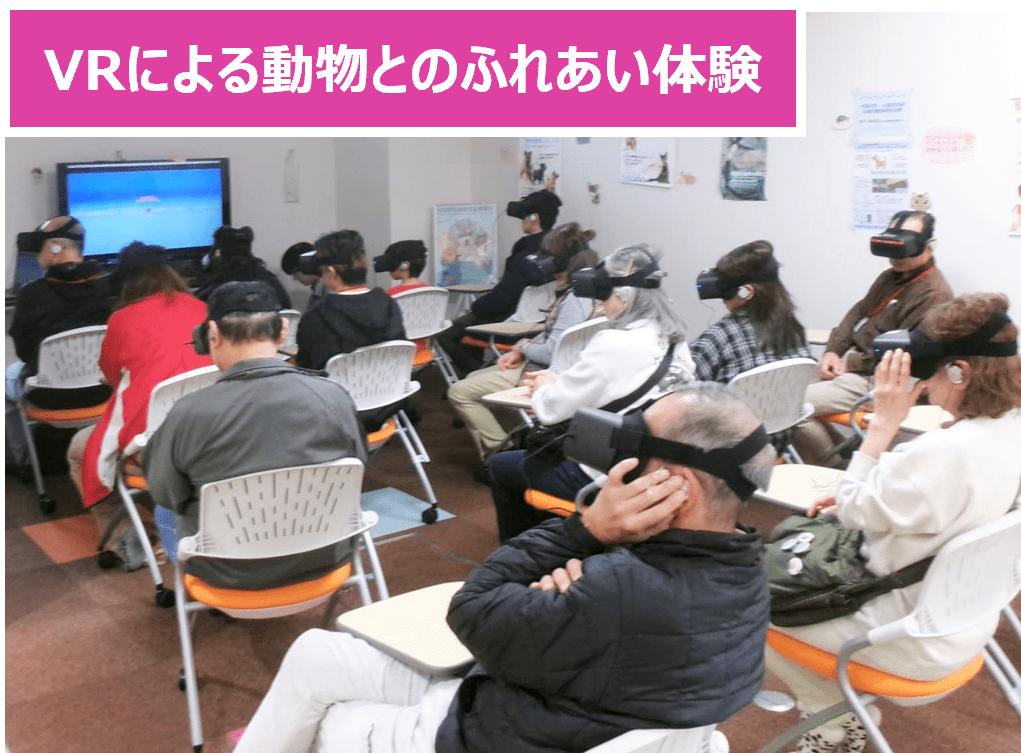 VRによる動物とのふれあい体験