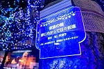 パーティープレート