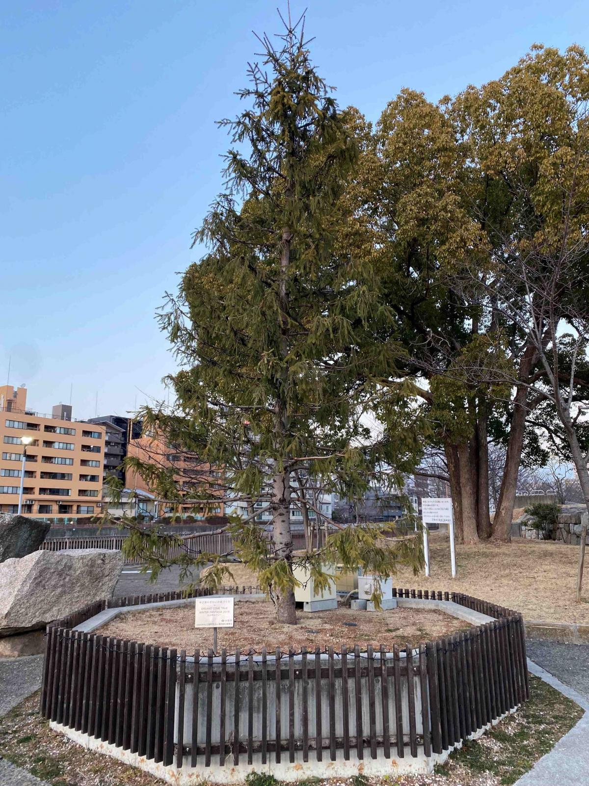 城見正面　昼