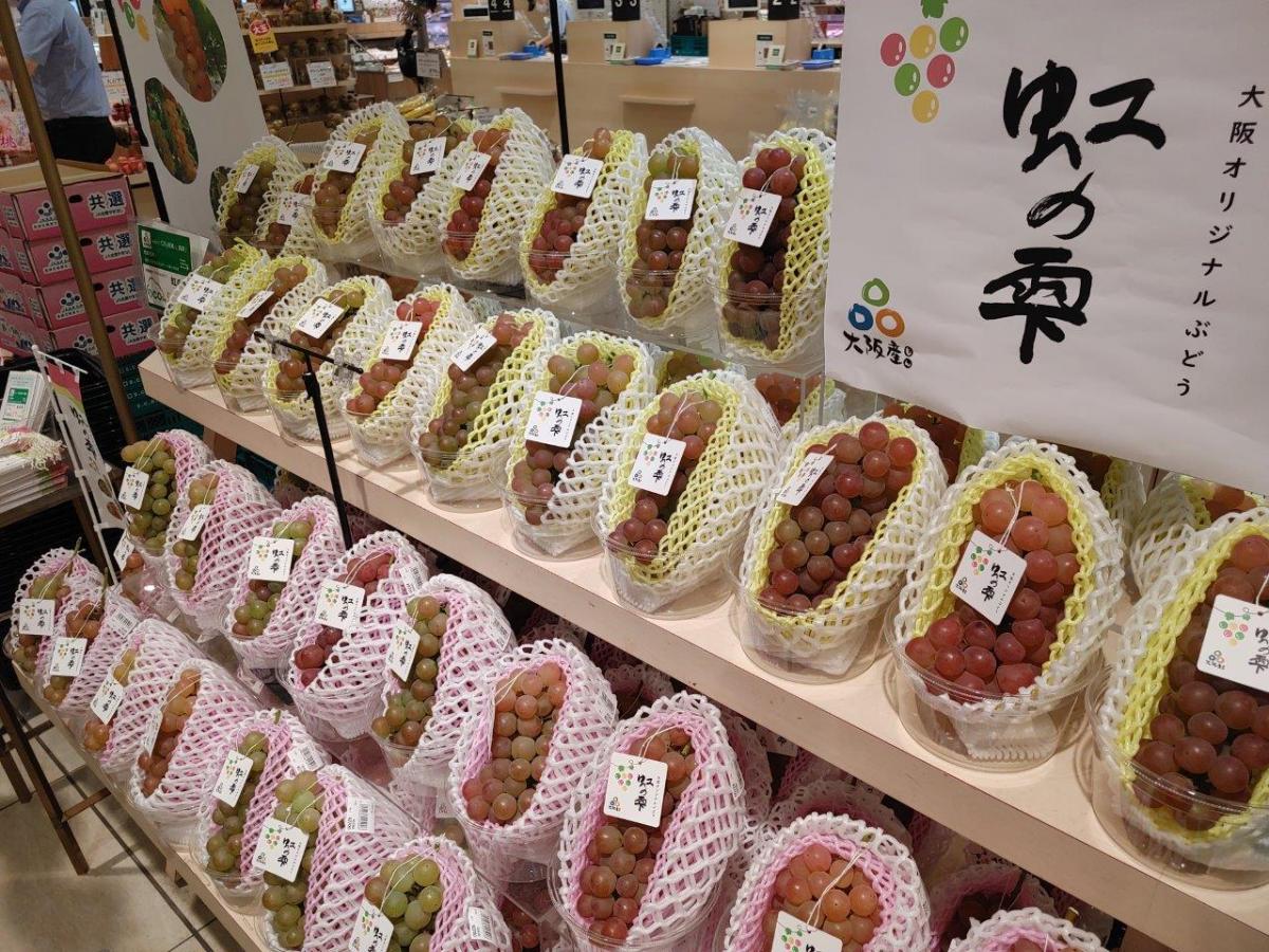 陳列された虹の雫の様子
