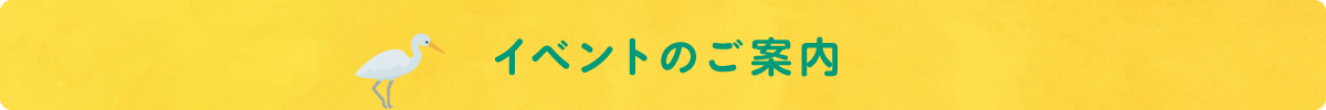 イベントのご案内