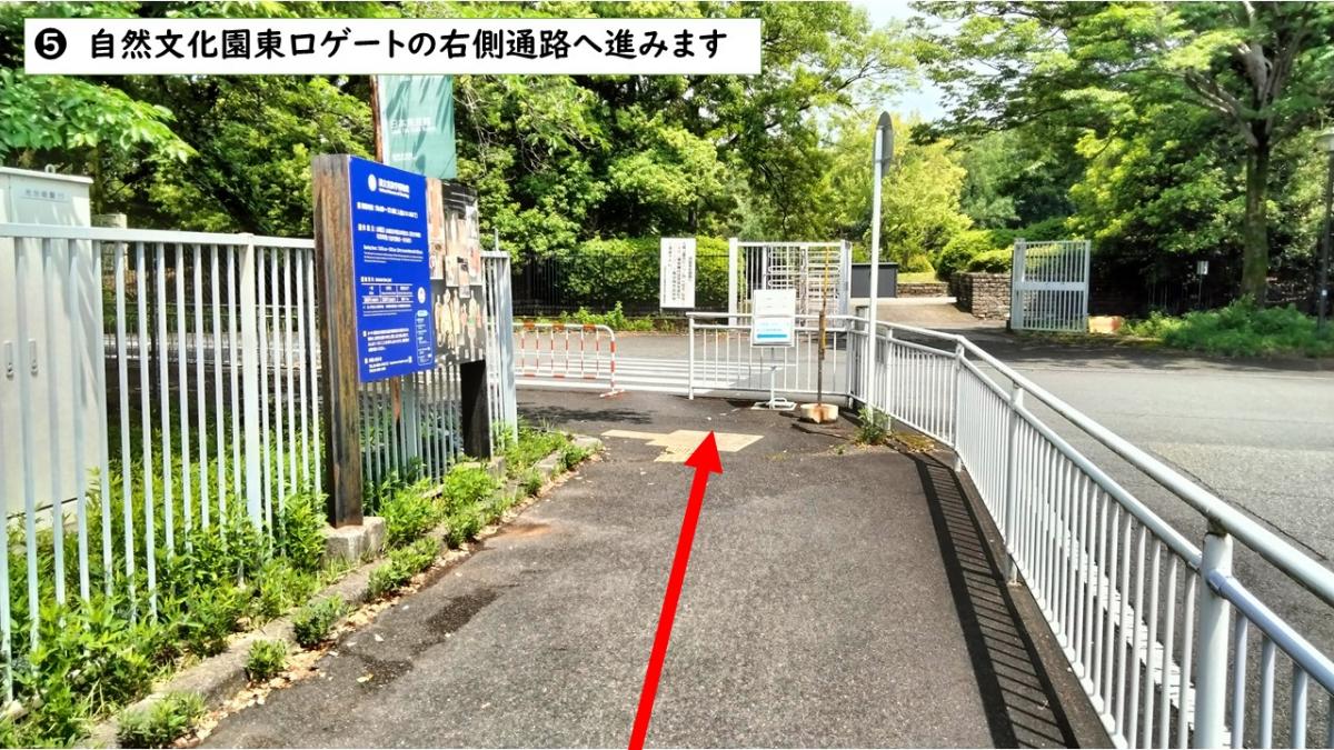 経路5-3