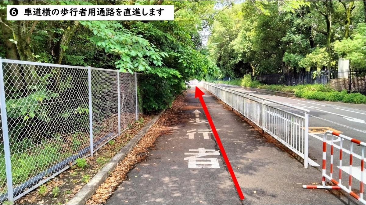 経路6