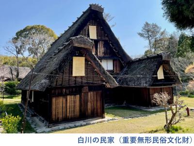 重要文化財白川の民家