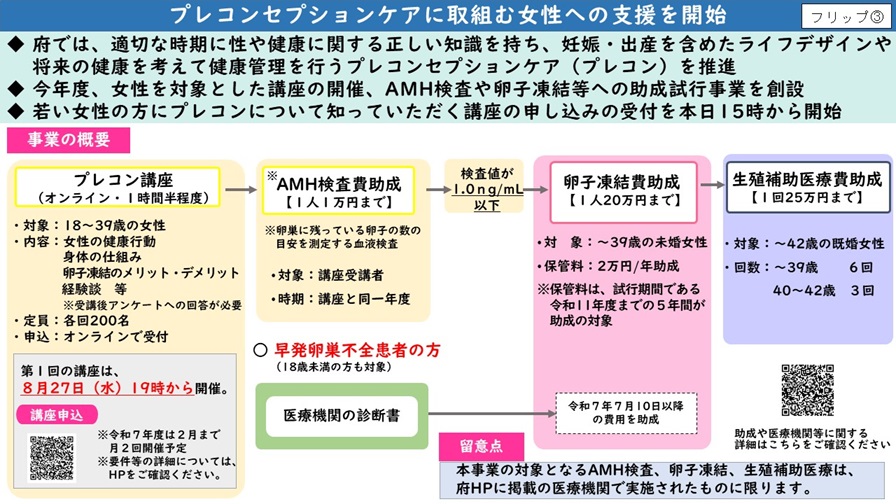 フリップ3