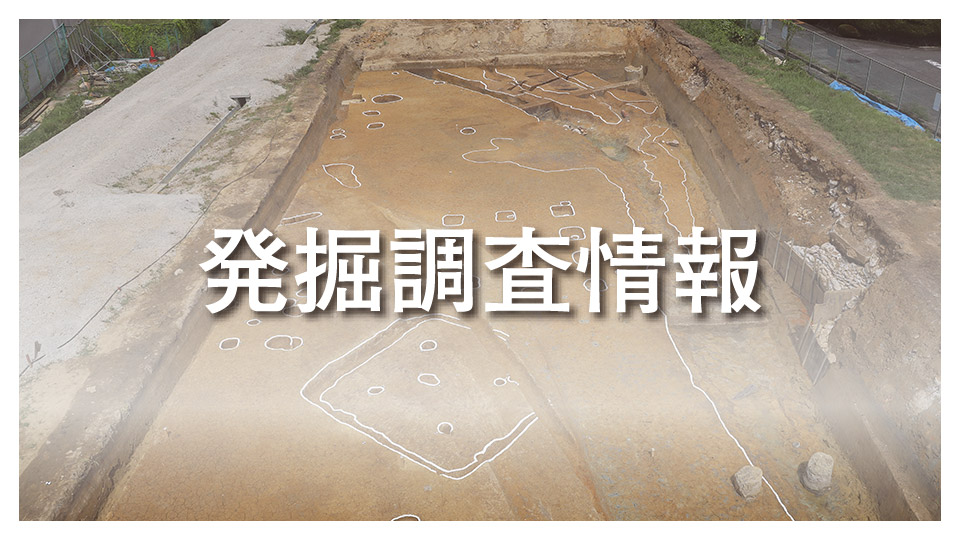 発掘調査情報