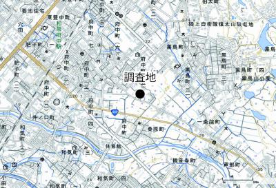 府中遺跡の調査区の位置を示した図