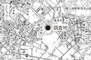 調査地