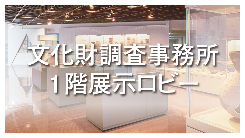 文化財調査事務所1階展示ゾーン