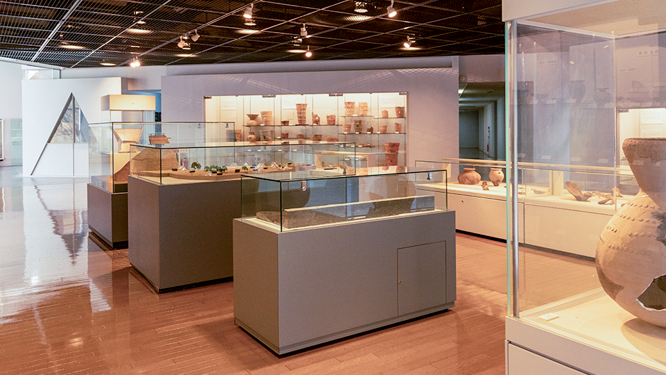 文化財調査事務所1階展示ゾーン1