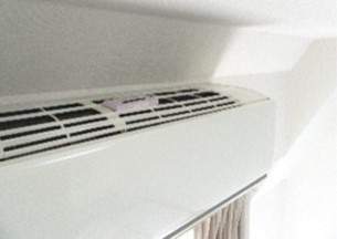 きになるニオイトリ6