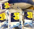 しゅんでる
