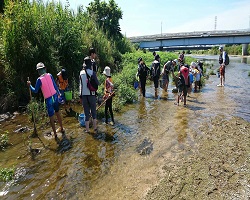 Family Nature Program　石川中流での魚とりの画像
